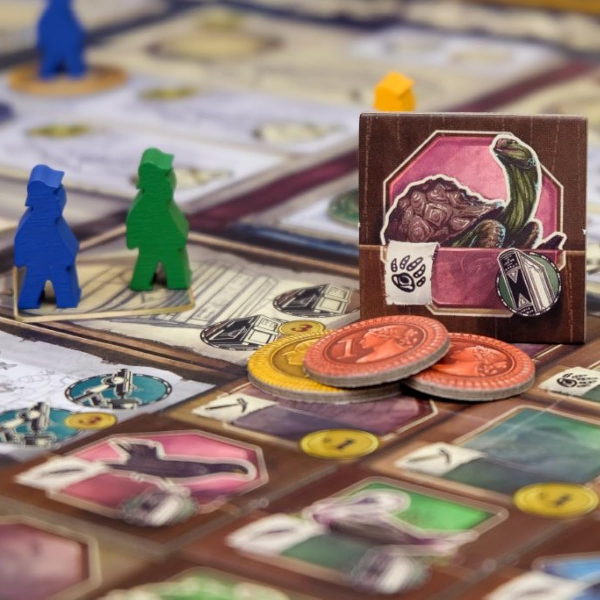 Darwin's Journey